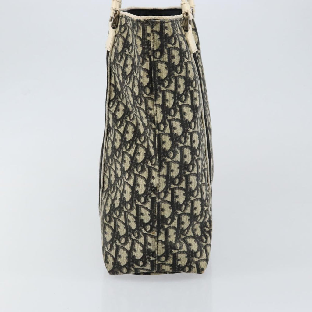 Dior Navy Canvas Trotter Bag