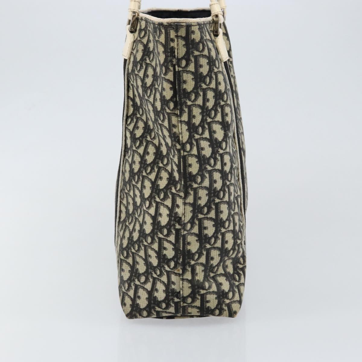 Dior Navy Canvas Trotter Bag