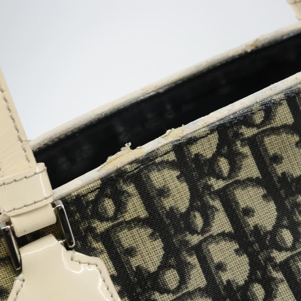 Dior Navy Canvas Trotter Bag