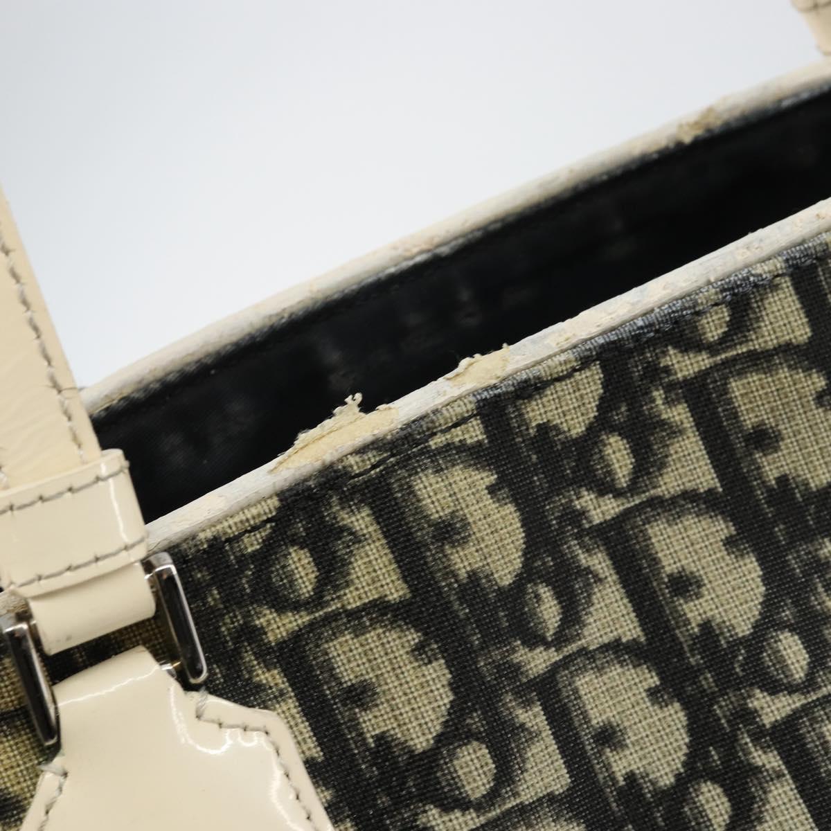 Dior Navy Canvas Trotter Bag