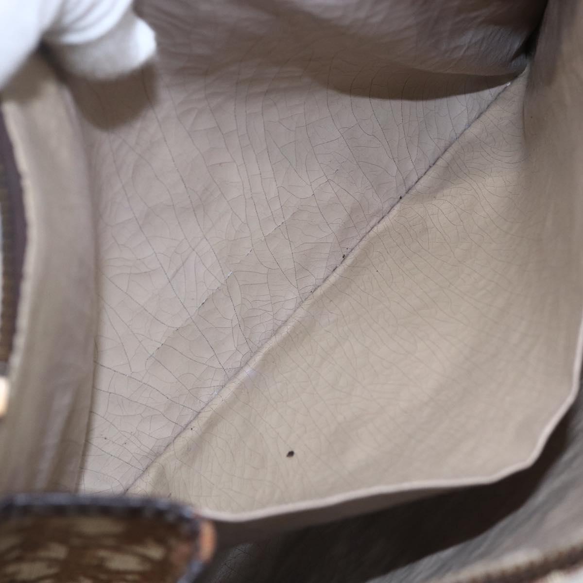 Dior Brown Monogram Clutch