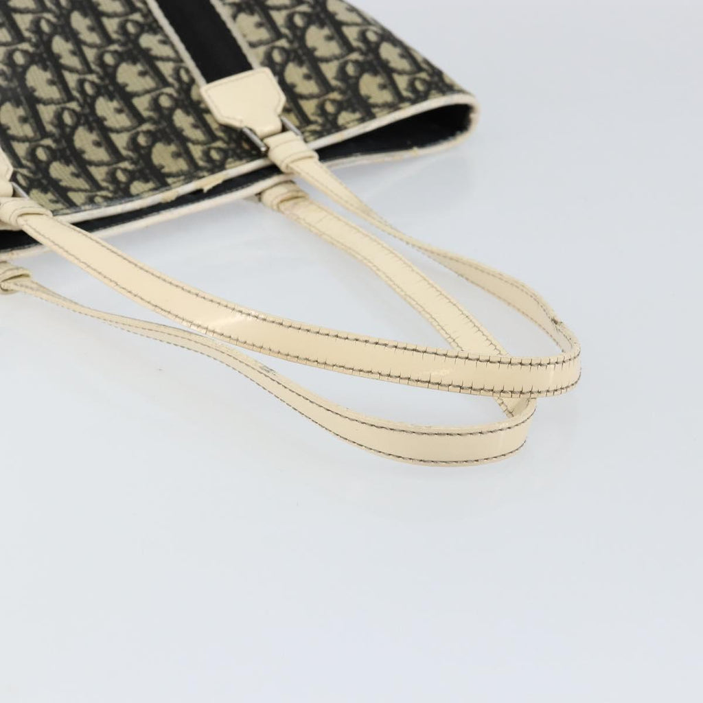 Dior Navy Canvas Trotter Bag