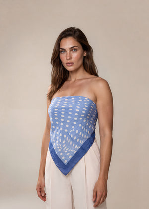 Hermès Blue Printed Scarf