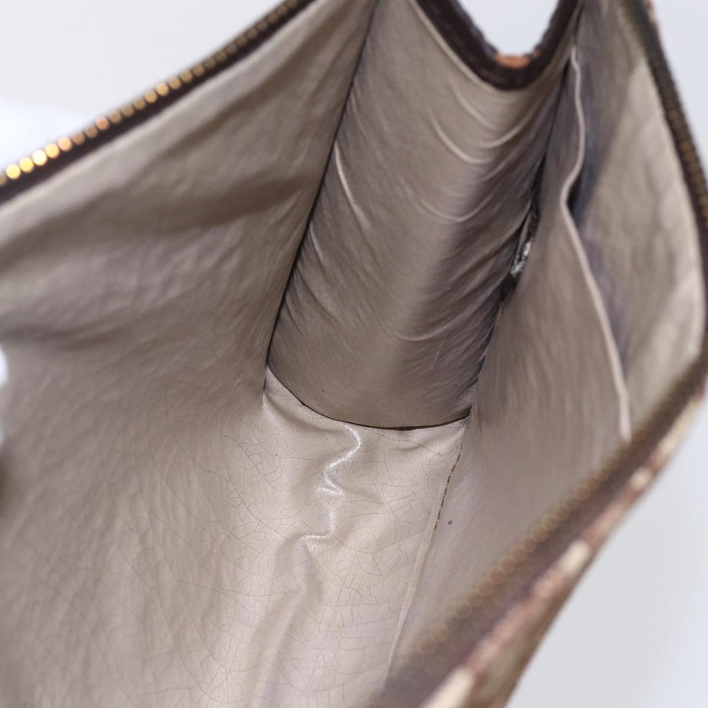 Dior Brown Monogram Clutch