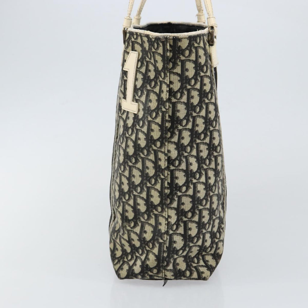 Dior Navy Canvas Trotter Bag