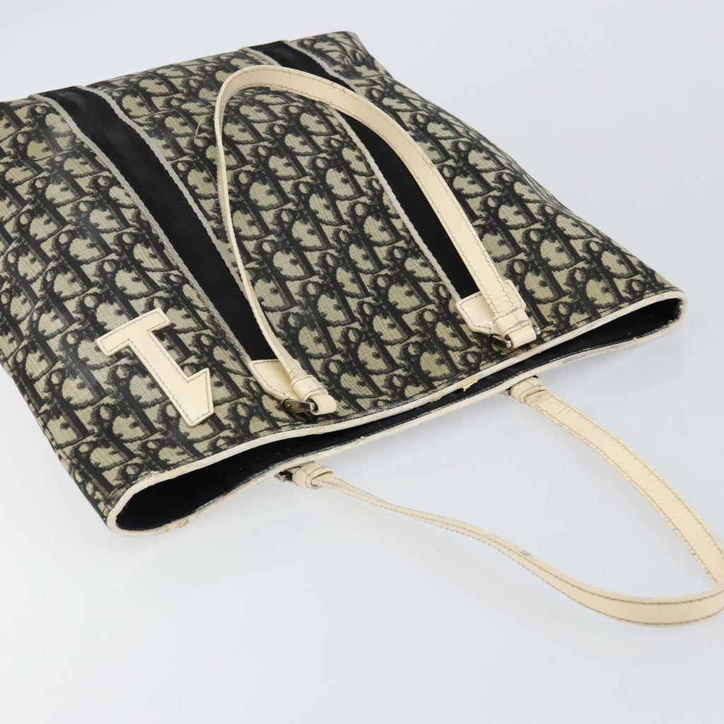 Dior Navy Canvas Trotter Bag