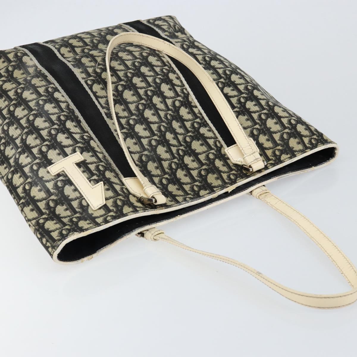 Dior Navy Canvas Trotter Bag