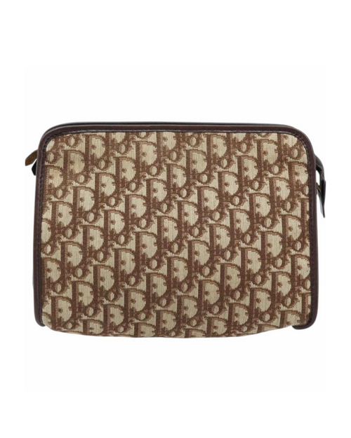 Dior Brown Trotter Clutch