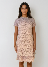 Load image into Gallery viewer, Valentino Pink Lace Dress
