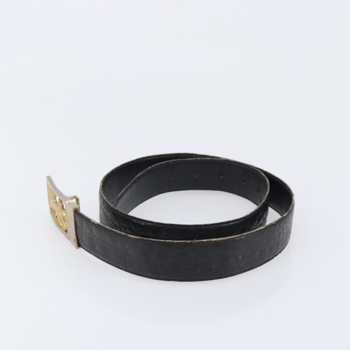 Celine Gold Carriage Logo Black Belt