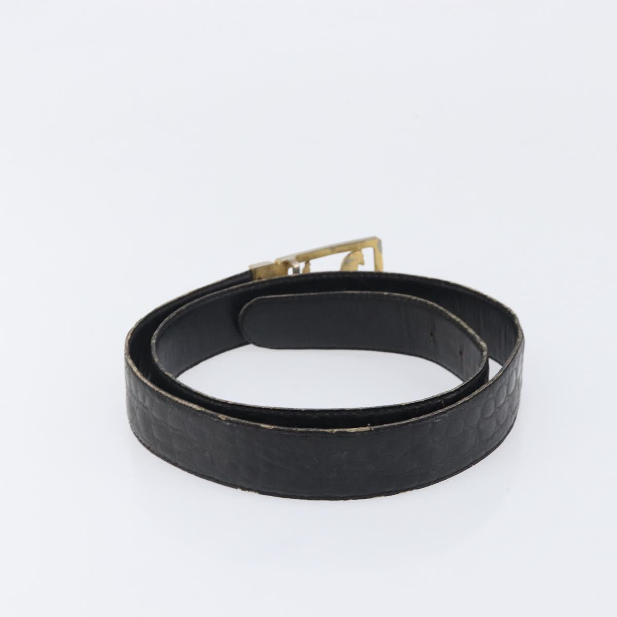 Celine Gold Carriage Logo Black Belt