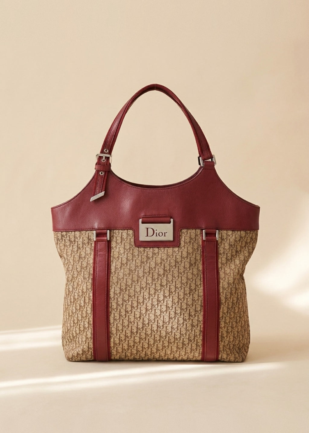 Dior Red and Monogram Tote cover