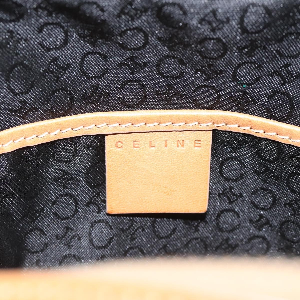Celine Leather and Suede Mini Bag